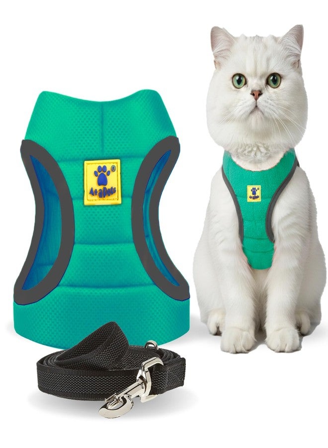 A+a Pets' Feather Weight Cat and Dog Harness & Leash Set - Escape Proof, Adjustable, No Pull, Soft Padded Vest for Persian Cats, Kittens, Small Dogs (Green, M) - Image 1